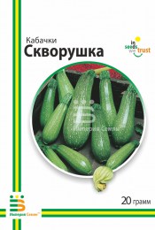 kabachki-skvorushka-1702544_1