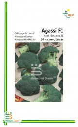 kapusta-brokkoli-agasi
