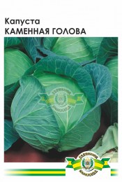 kapusta-kamyana-golova-4700886_1