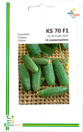 Огірок KS 70 F1 (Kitano Seeds) Японія, мет., 10 насінин
