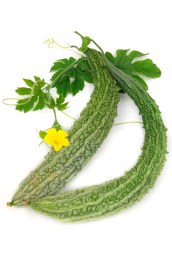 momordika-satsuma-onaga
