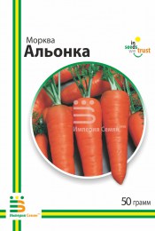 morkov-alenka-4700910_1