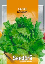 salat-ajsberg-10-g-pr160