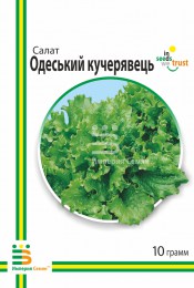 salat-odesskij-kucheryavets-710652_1