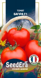 tomat-bagira-f1-10-sht