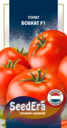 tomat-bobkat-f1-10-sht