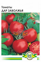 tomat-dar-zavolzhya-948198_1
