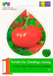 tomat-dar-zavolzhya-rozovyj