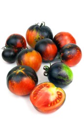 tomat-galaxi