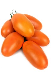 tomat-gnom-shchedrist