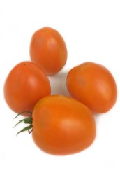 tomat-syayucha-krasa5