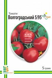 tomat-volgogradskij-595-948198_1