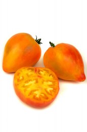 tomat-volove-sertse-bikolor
