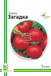 tomat-zagadka-948218_1