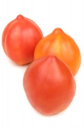 tomat_zasmaglij-persik