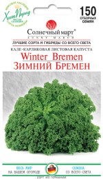 winter-bremen_1