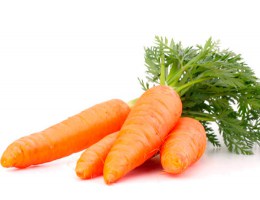Насіння моркви в професійній упаковці