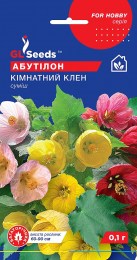 abutilon-kimnatnyi-klen