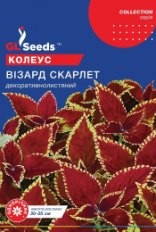 izobrazhenie_2025-10-28_175214749