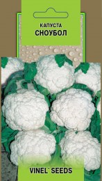 kapusta-snoubol