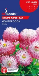 margaritka-monte-rossa