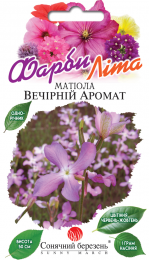 mattiola-vichirni-aromat-28