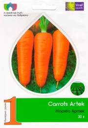 morkov-artek