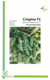 ogurets-krispina-(50-sht)-1702378_1-copy