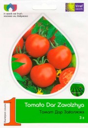 tomat-dar-zavolzhya9