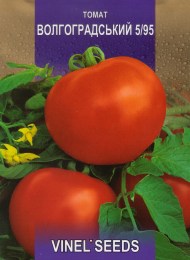 tomat-volhohradskyi-595-(1)
